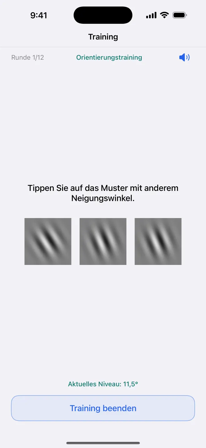 Get Visionary Orientierungstraining, Runde 1 von 12