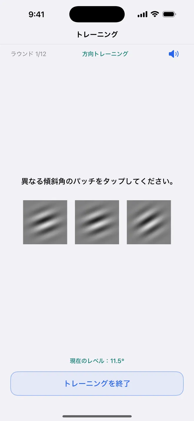 Get Visionaryの方位トレーニング、12ラウンド中の1ラウンド目