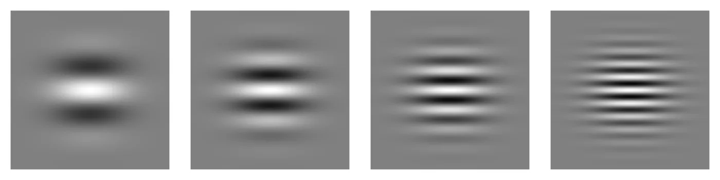 Four Gabor patches with three, five, eight, and twelve cycles across the patch