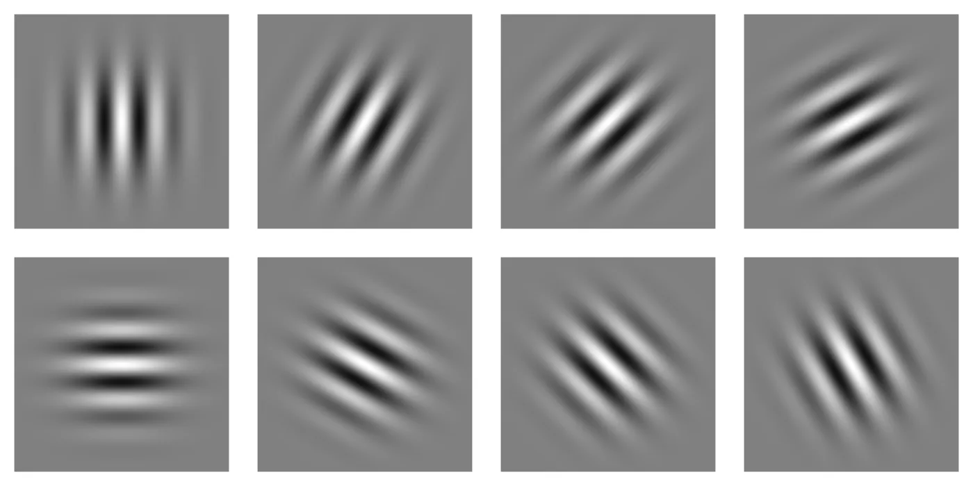 Eight Gabor patches at orientations of 0, 30, 45, 60, 90, 120, 135, and 150 degrees
